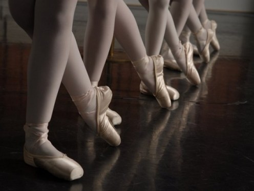 Jämförande beteende